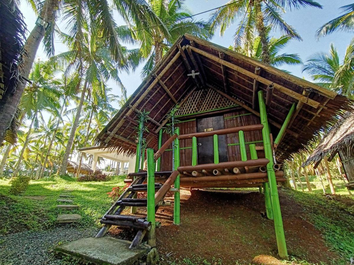 Caliraya Ecoville Recreation And Farm Resort Cavinti Buitenkant foto